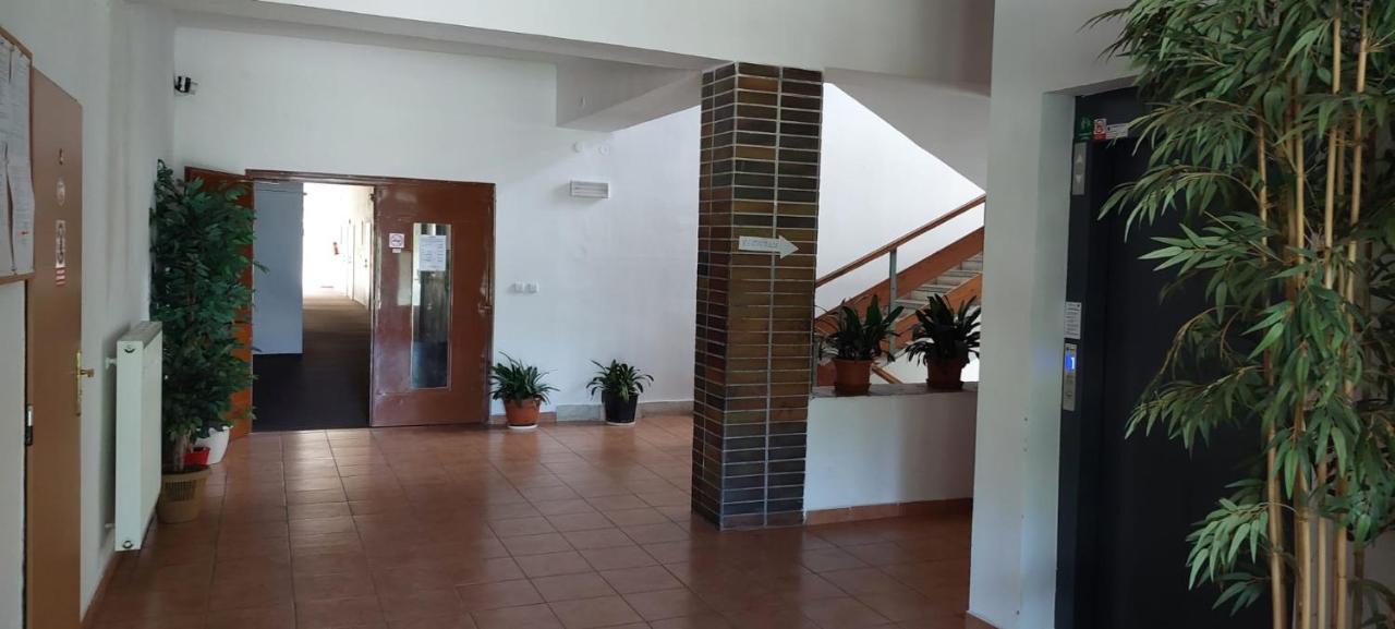 Apartman Novohradky 22 Benesov nad Cernou Exterior photo